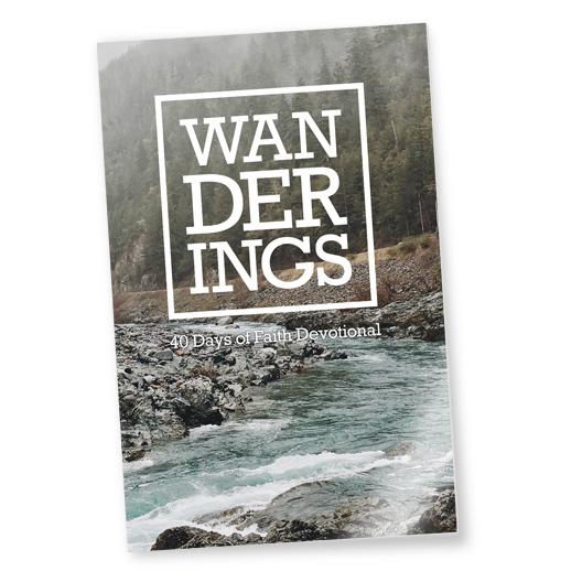 Wanderings_Book_528x528