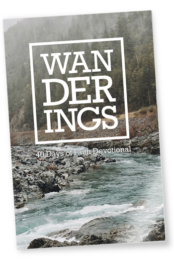Wanderings_350x528
